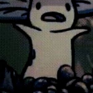 Meet your Posher, Ariana